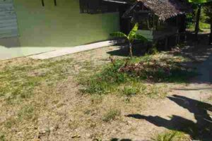 Lahan Bangun Balai_11zon_11zon